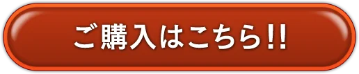ご購入はこちら